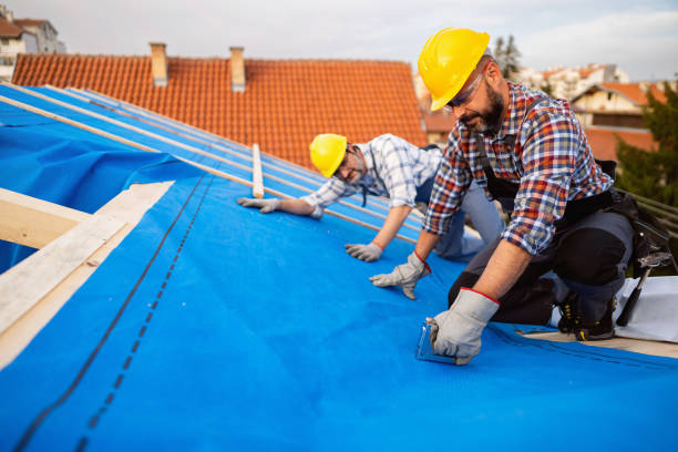 Sealant for Roof in Humansville, MO